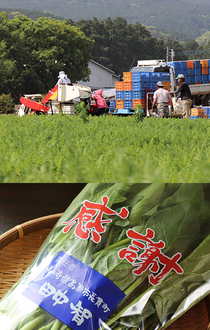 農作業と野菜の包装袋